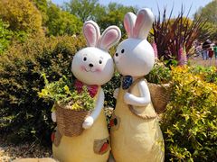 -上海共青森林公园