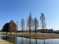 -阳澄湖半岛旅游度假区
