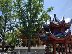 -上海东林寺(金山区)