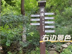 -灵溪风景区