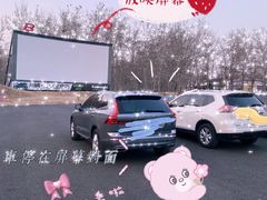 -枫花园汽车电影院(朝阳公园店)