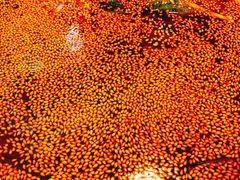 红油味钵钵鸡-嘉州叶婆婆钵钵鸡(建设路店)