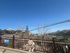 -西霞口神雕山野生动物世界