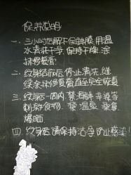-英刺青 纹身 洗纹身