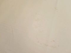 床单污渍-大榭国际大酒店