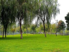 -秀水公园