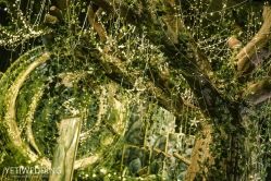 -天邑国际酒店·宴会厅