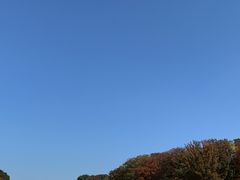 -东京国立博物馆