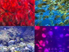 -南昌融创海世界