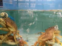 -欧记·龙城港(欣都店)
