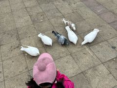 -大连海昌东方水城