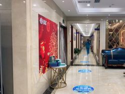 -碧莲盛·不剃发植发