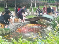 -成飞公园