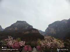 -云台山风景名胜区