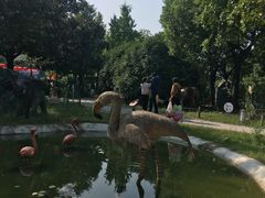 -无锡动物园·太湖欢乐园