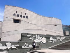 -包头博物馆