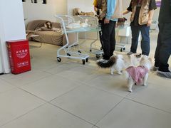 -怪兽屋·羊驼·猫咖·狗咖(俊华广场店)