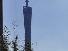 -陶陶居·雅园(凯华国际店)