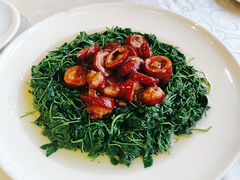 草头圈子-阿英煲(凉城路店)