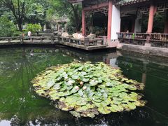 -温江公园