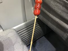 -和禄德冰糖葫芦