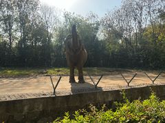 -合肥野生动物园