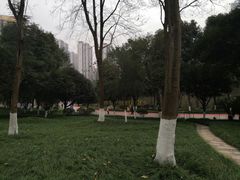 -龙头寺公园