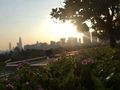 -棕榈泉国际高尔夫学院