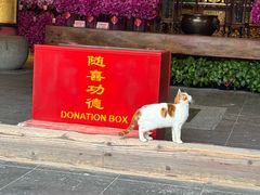 -龙华素斋(龙华路店)