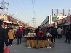 -中环花鸟鱼虫市场