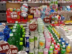 -丽达奥特莱斯(国货店)