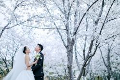 -苏菲亚婚纱摄影