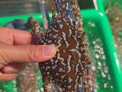 -后田海鲜餐厅(南澳香湖湾店)