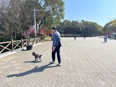 -上海海湾国家森林公园