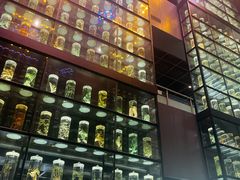 -广东中医药博物馆