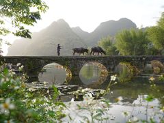 -靖西鹅泉风景区