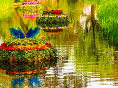 -上海共青森林公园