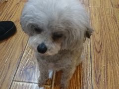 -志龙皇冠吃货椰子铺