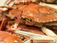 大飞蟹-鲜得莱渔港·小平岛海胆馆(七贤岭店)