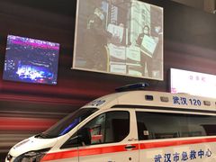 -武汉客厅中国文化博览中心