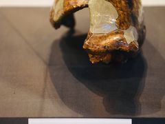 -北京周口店北京人遗址博物馆