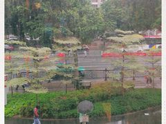 -72街红烧排骨饭(海珠丽影广场店)