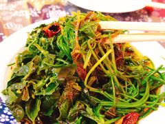 炝拌野才拼盘-王村姑老土炕莜面村(桥东店)
