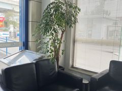 -华胜奔驰宝马奥迪专修连锁(虹梅南路店)