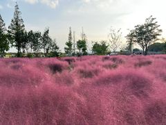 -嘉北郊野公园