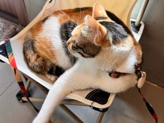 -Again Coffee Roaster(香蜜湖店)