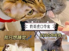 -泰国佛·塔罗·泰牌狐仙古曼