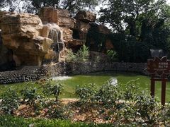 -静之湖湖畔餐厅