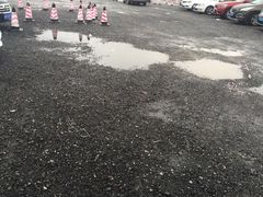 -迪士尼乐园停车场