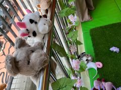 -全优加早教托育园(金海岸店)